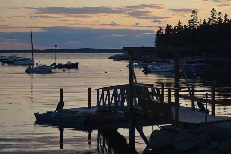 cove with boats